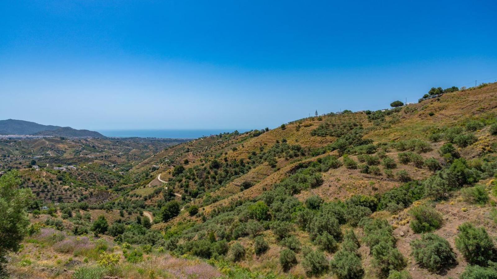 Cortijo El Mirador Frigiliana By Ruralidays Villa Exteriör bild